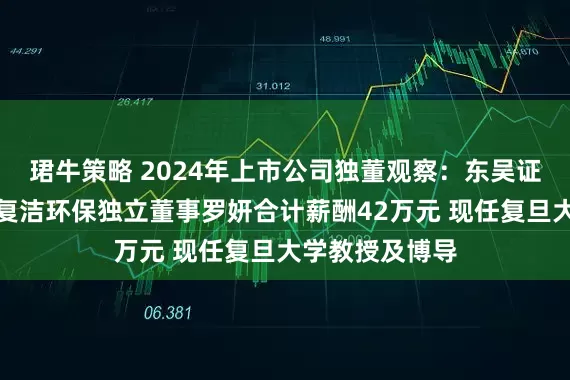 珺牛策略 2024年上市公司独董观察：东吴证券、思瑞浦、复洁环保独立董事罗妍合计薪酬42万元 现任复旦大学教授及博导