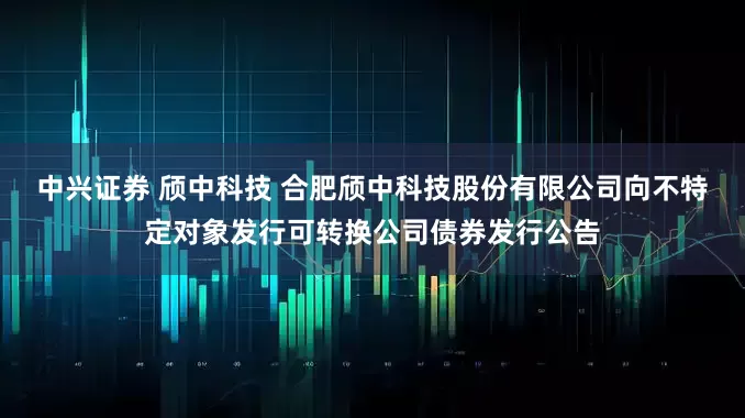 中兴证券 颀中科技 合肥颀中科技股份有限公司向不特定对象发行可转换公司债券发行公告